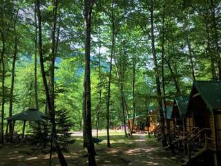 Кемпинги Waterfall Rafting Center Šćepan-Polje Стандартный двухместный номер с 2 отдельными кроватями и общей ванной комнатой-1
