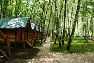 Кемпинги Waterfall Rafting Center Šćepan-Polje Стандартный двухместный номер с 2 отдельными кроватями и общей ванной комнатой-7