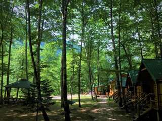 Кемпинги Waterfall Rafting Center Šćepan-Polje Стандартный двухместный номер с 2 отдельными кроватями и общей ванной комнатой-13